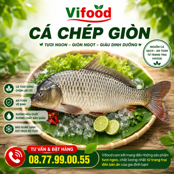 Cá Chép Giòn