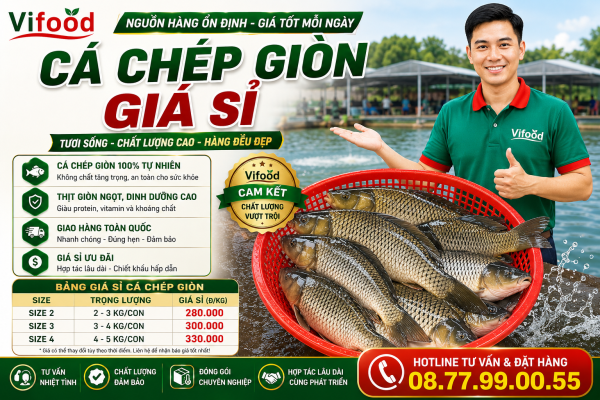 Địa Chỉ Bán Cá Chép Giòn Giá Sỉ
