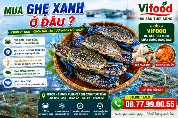 Ghẹ Xanh Giá Rẻ Nhất Thị Trường: Mua Ở Đâu Uy Tín, Tươi Sống, Giá Tốt?