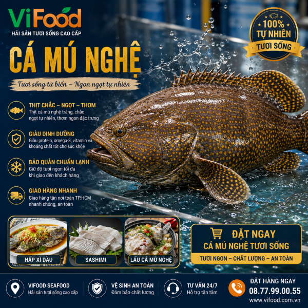 Cá Mú Nghệ (15 - 30 Kg)