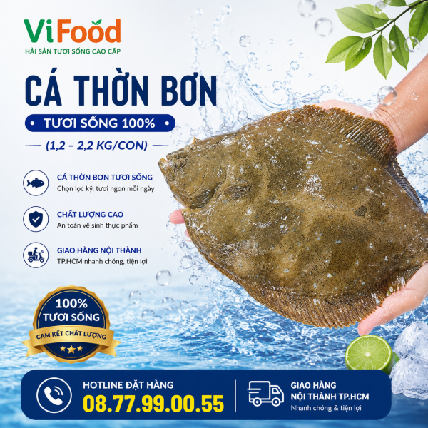 Cá Thờn Bơn sống (1,2—2,2 kg)