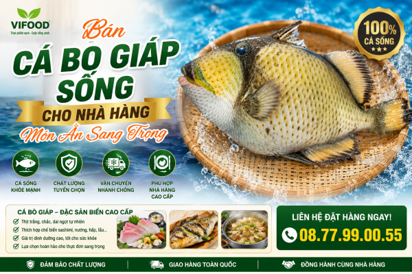 Bán cá bò giáp sống cho nhà hàng - Món Ăn Sang Trọng