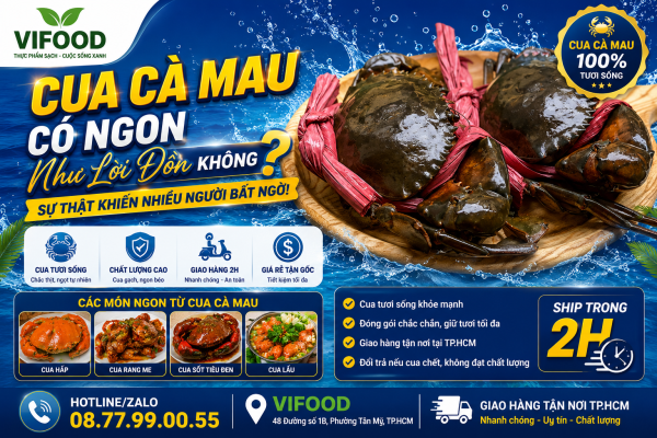 Cua Cà Mau – Có Ngon Như Lời Đồn Không?