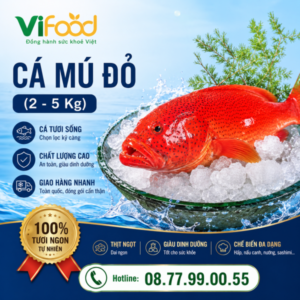 Cá Mú Đỏ 2–5Kg Tươi Sống
