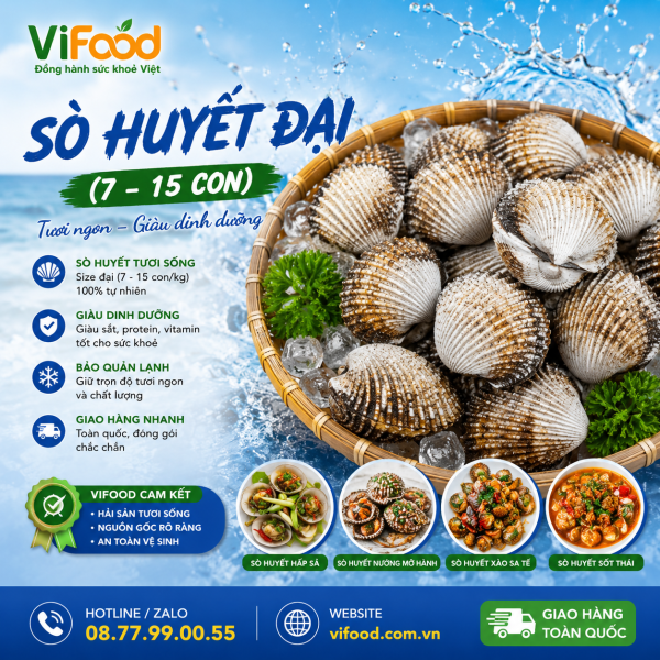 Sò Huyết Đại 7–15 Con/Kg