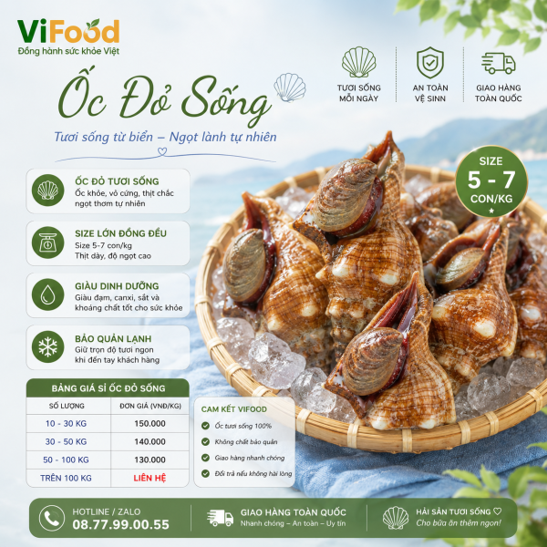 Ốc Đỏ sống (5 — 7 con)