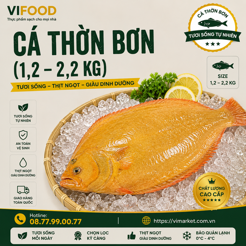 Cá Thờn Bơn sống (1,2—2,2 kg)