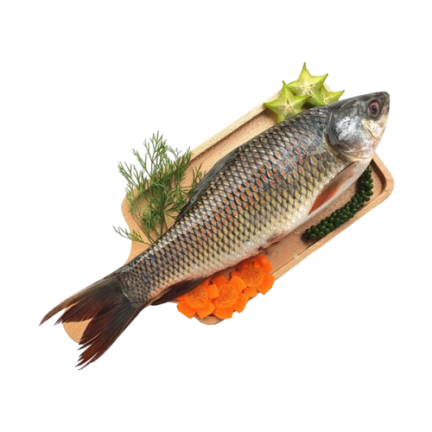 grocery
