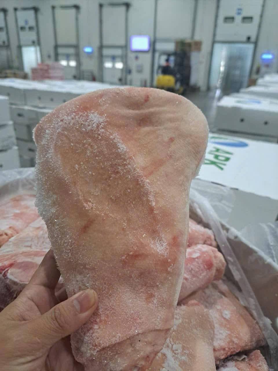 Khoanh Bắp Giò Heo Đông Lạnh Nhập Khẩu