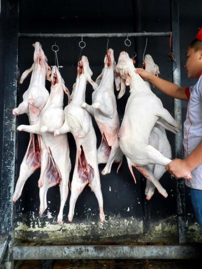 Dê Nguyên Con Móc Hàm Làm Sạch