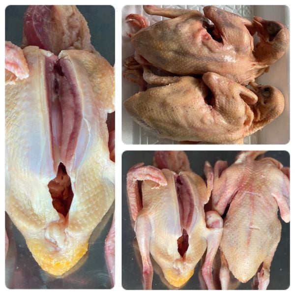 Bồ Câu Làm Sạch Loại 1 – Size 250–350gr/Con