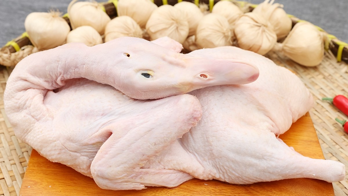 Ngỗng Thịt Tươi Ngon Loại 1