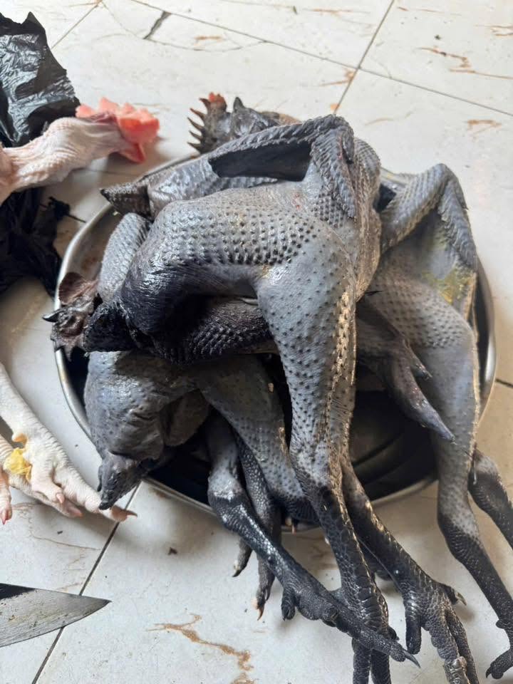 Gà H’Mông Thịt Tươi Làm Sạch