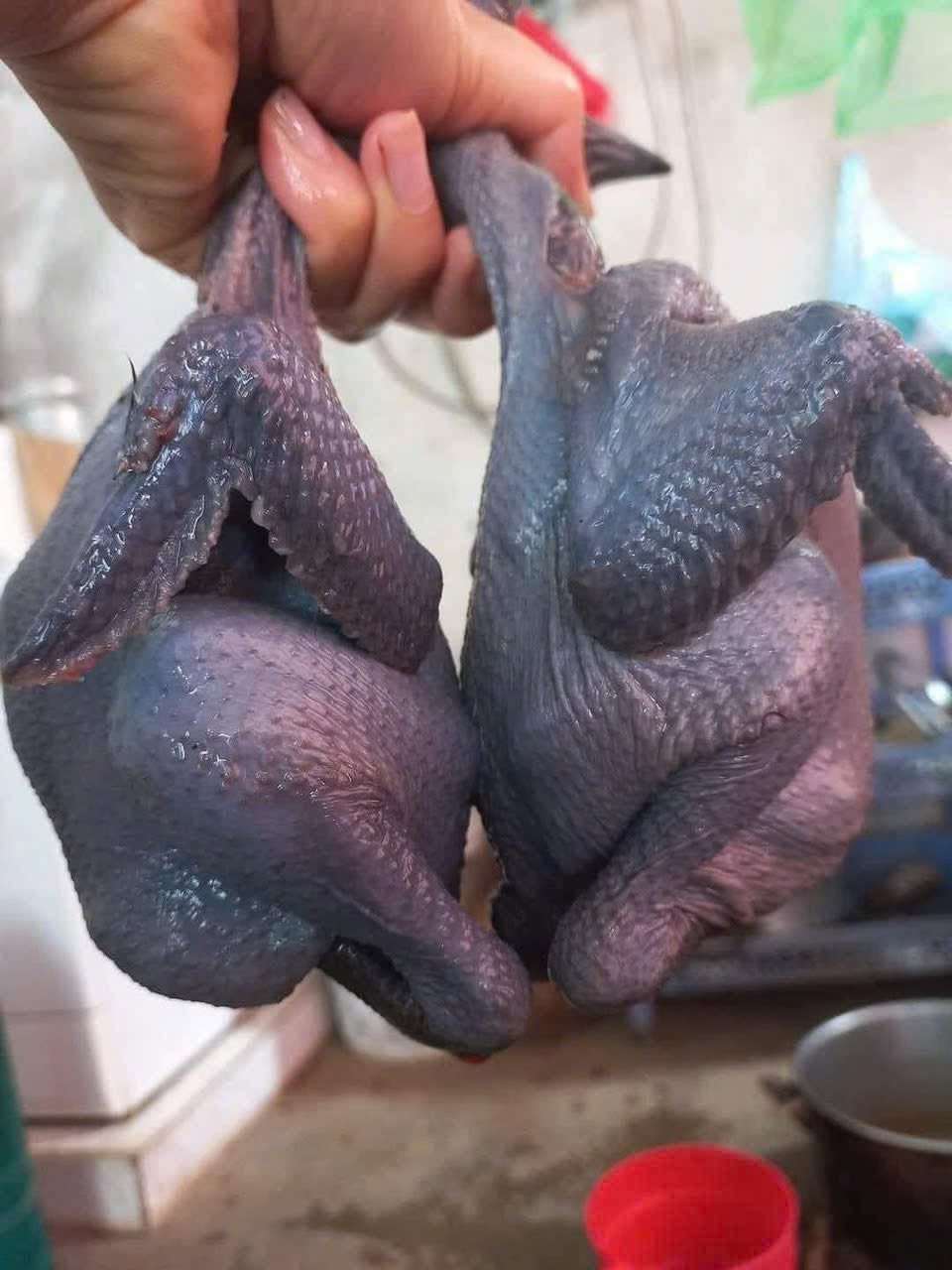 Gà Ác Làm Sạch Loại 1 – Size 1–1.2kg/Con