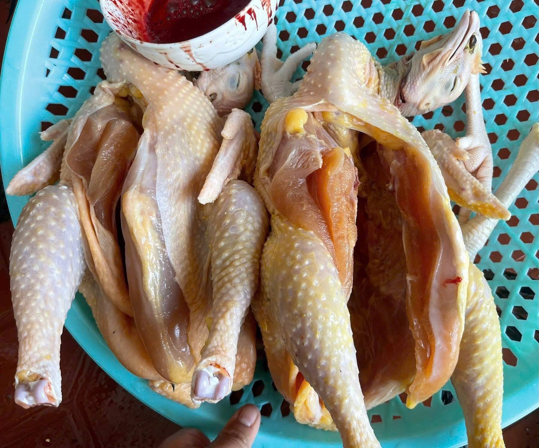 Gà Ta Lai Làm Sạch Tươi Ngon