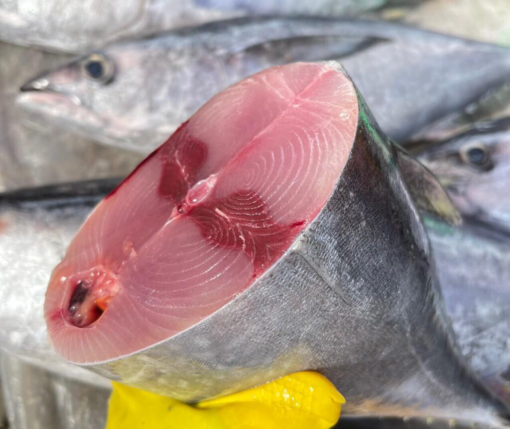 Cá Ngừ Bò Tươi Sống Loại 1