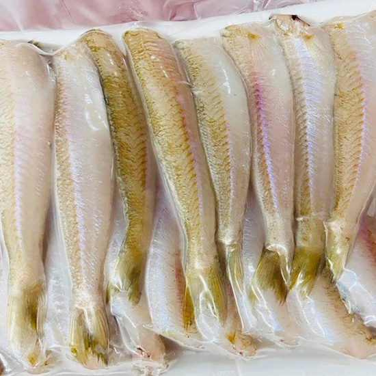 Cá Bống Đục Tươi Sống Giá Sỉ