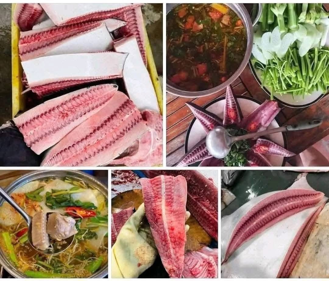 Cá Đuối Cắt Khúc Tươi Sống Loại 1