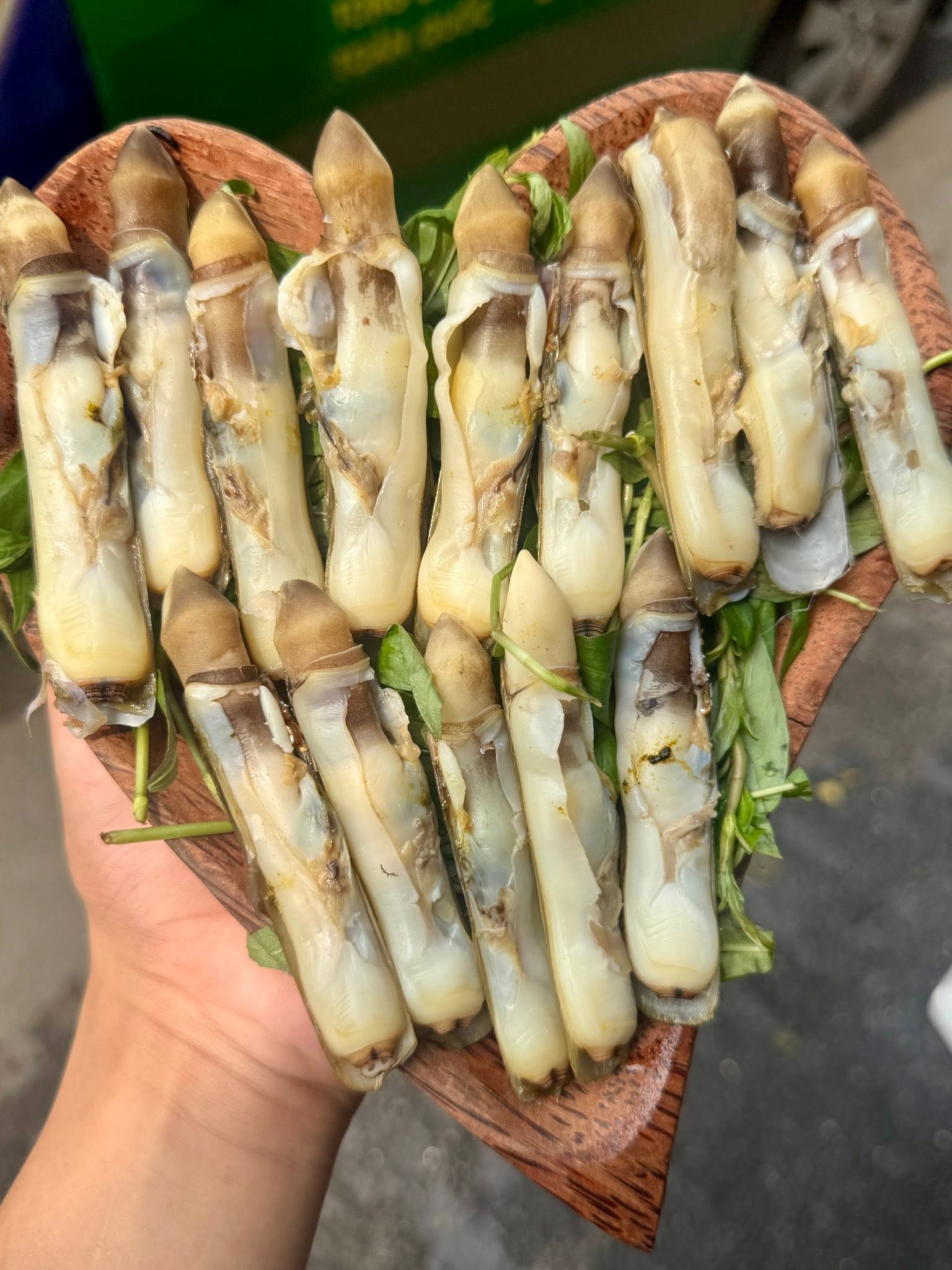 Ốc Móng Tay Tươi Sống Loại 1