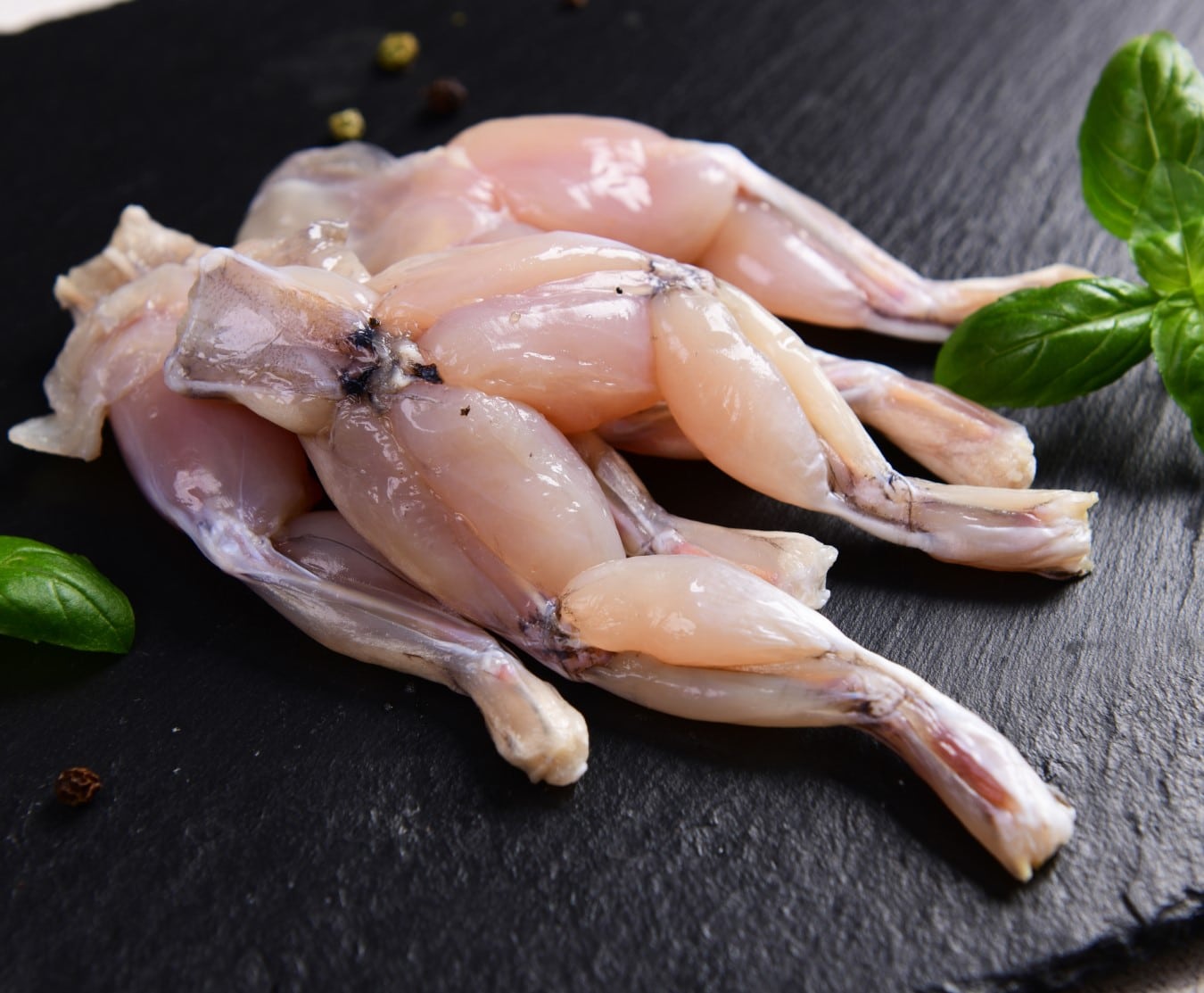 Ếch Thịt Tươi Sống Hàng Ngon Giá Sỉ