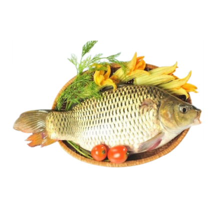 grocery