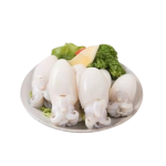 Mực nang tươi  Size 8-10 con/kg