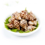  Ốc Hương Tươi Sống Loại 1 Size Cồ