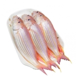 Cá Hường Tươi Sống Loại 1 – Size 6–7 Con/Kg 