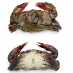  Cua Lột Tươi Sống Size 7–8 Con/Kg