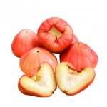 Mận Đường Đá