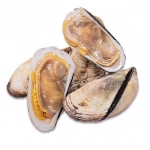 Sò Dẹo Tươi Sống Loại 1