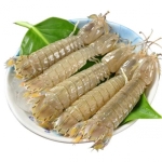 Tôm tít (bề bề) sống, mới đánh bắt Size 4-5 con/kg