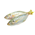 Cá bạc má tươi Size 7-8 con/kg