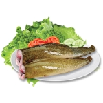 Cá trê vàng tươi sống Size 400-600 gr/con