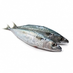 Cá nục làm sạch