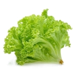 Xà lách lô lô xanh