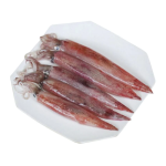 Mực Trứng Tươi Sống Size 8–10 Con/Kg