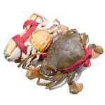 Cua Gạch Tươi Sống Loại 1 – Size 500–700gr/Con 