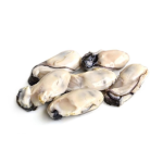 Ruột Hàu Sữa Tươi Ngon Loại 1