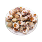 Ốc Mỡ Tươi Sống Đánh Bắt Thiên Nhiên Loại 1