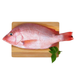 Cá Hồng Tươi Sống Loại 1 – Size 400–600gr/Con