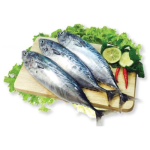 Cá Ngừ Tươi Sống Size 0,7–1kg/Con