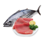 Cá Ngừ Tươi Sống Size 1–1,5kg/Con