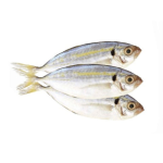 Cá Ngân Tươi Sống Loại 1