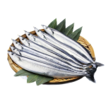 Cá Thu Đao Tươi Sống Giá Sỉ 