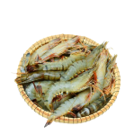 Tôm sú nguyên con tươi sống Size 60-70 con/kg