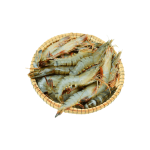 Tôm thẻ sống Size 50-60 con/kg