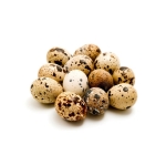 Trứng cút hộp 30 quả