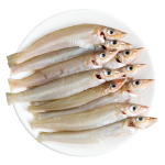 Cá Bống Đục Tươi Sống Giá Sỉ 