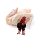 Gà Đông Tảo Thịt Làm Sạch Loại 1